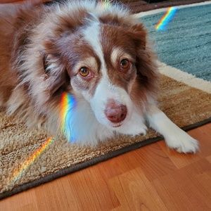 Meet your Posher, Julia